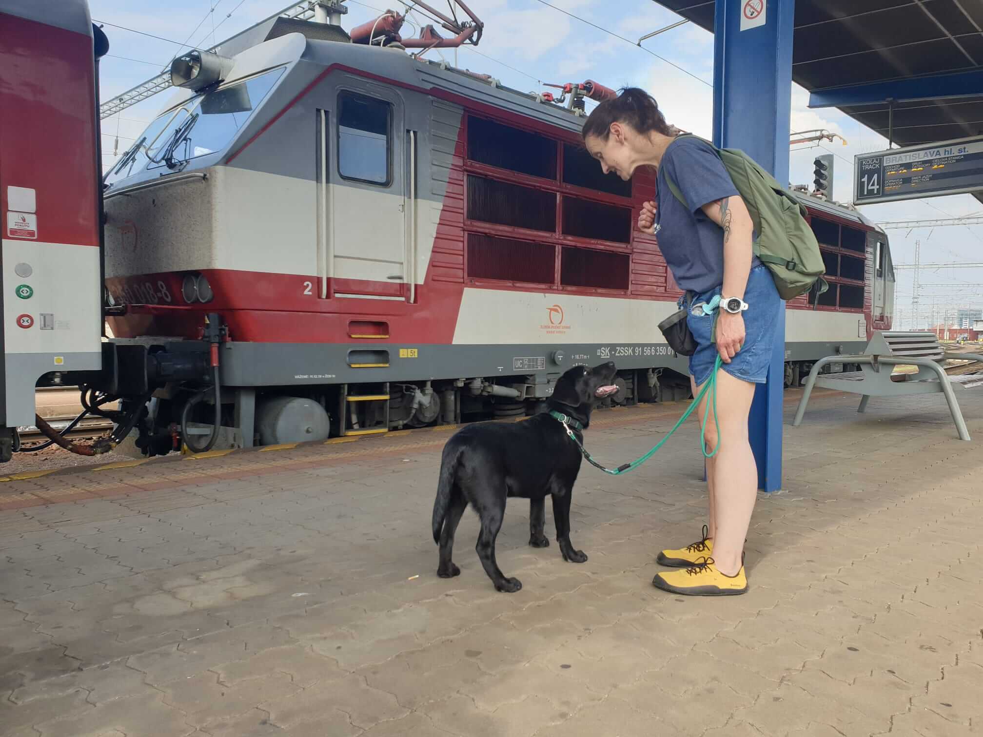Mladá žena sa s úsmevom prihovára malému čiernemu labradorovi, ktorý na ňu so záujmom pozerá. V pozadí stojí vlak pripravený na odchod.