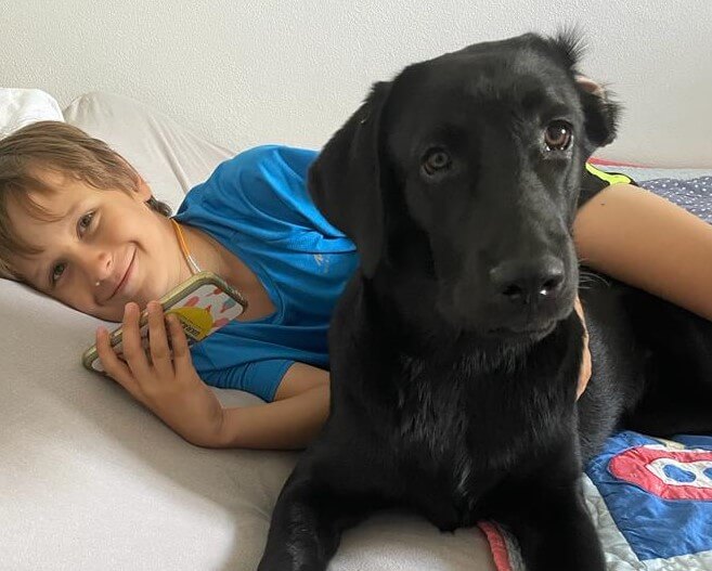 Čierny dorastenec labradorského retrívra môže byť tým správnym parťákom práve pre vás!