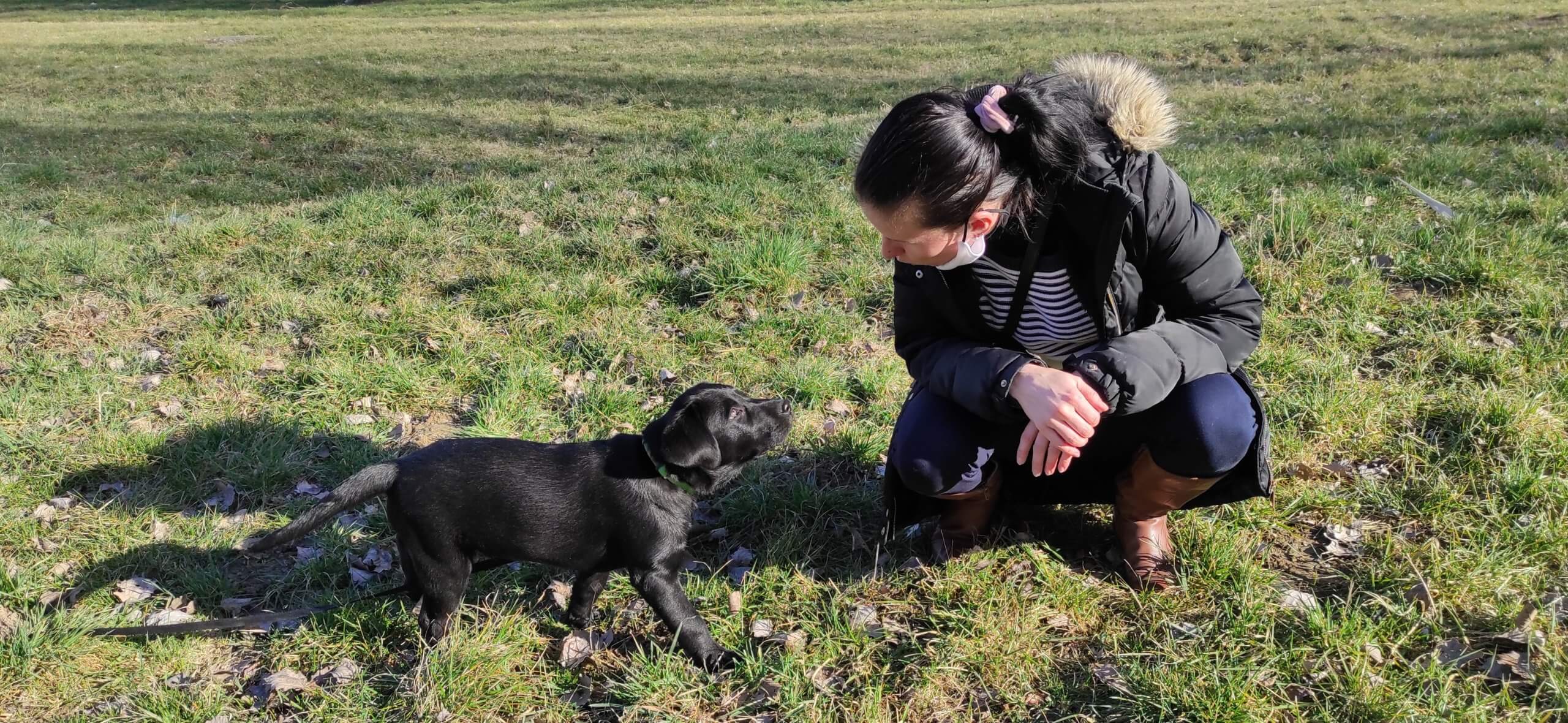 Na zelenej lúke čupí vychovávateľka a pozerá sa na prichádzajúce čierne šteňa labradora, ktoré sa jej díva do očí.