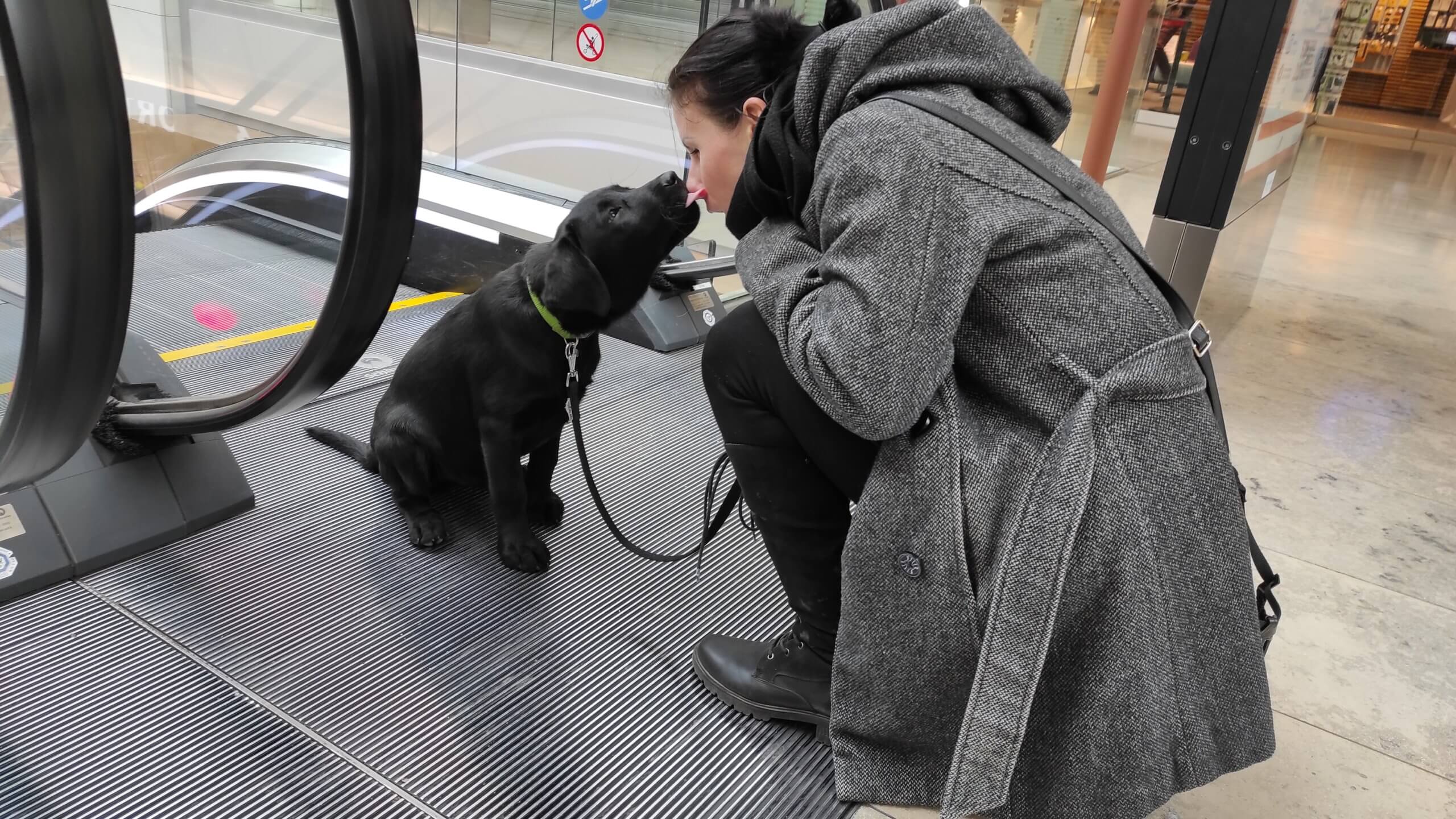 Pri vstupe na eskalátor sedí malé čierne šteňa labradora a dáva pusu čupiacej vychovávateľke.