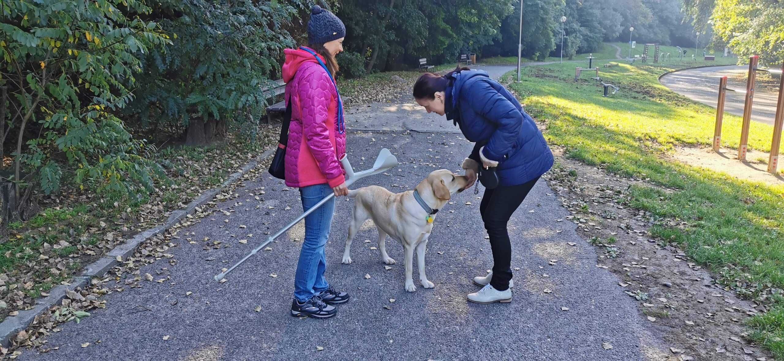 Na chodníku v parku stojí žltý labrador a očucháva ruku nevidiacej klientke, ktorá sa k nemu skláňa. Pri nich stojí cvičiteľka psa a usmieva sa.  