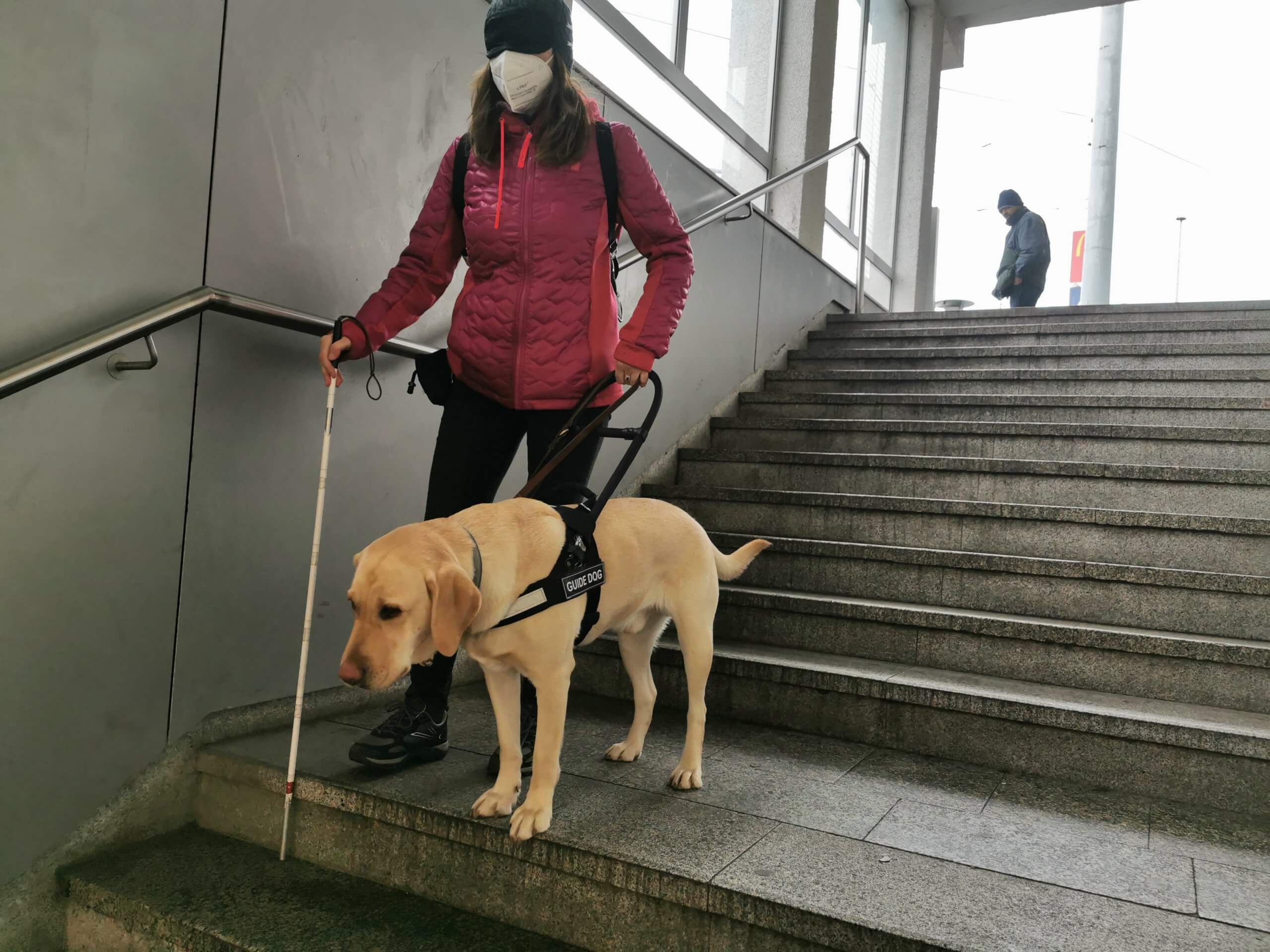 Vodiaci pes stojí na okraji schodov a pozerá sa kam pokračujú, cvičiteľka s prekrytými očami si kontroluje hĺbku schodu.