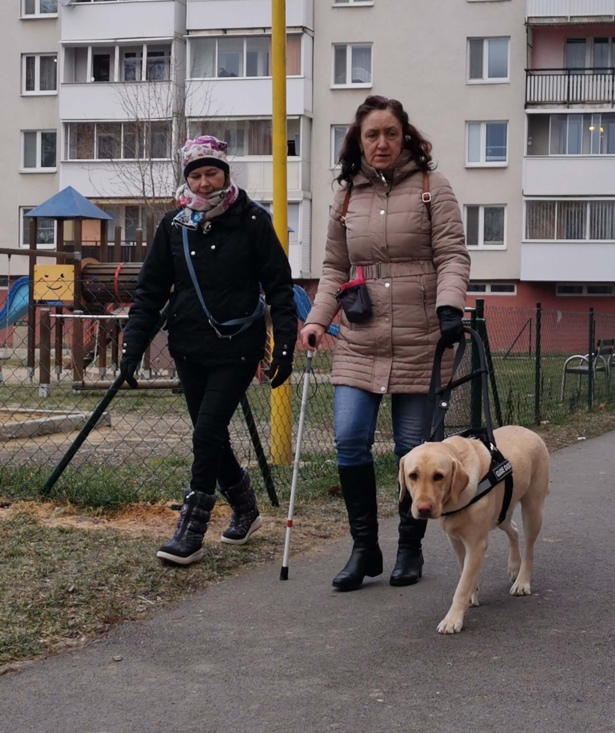 Po chodníku kráča klientka s vodiacim psom v postroji, za nimi ide cvičiteľka a dohliada na ich spoluprácu. 
