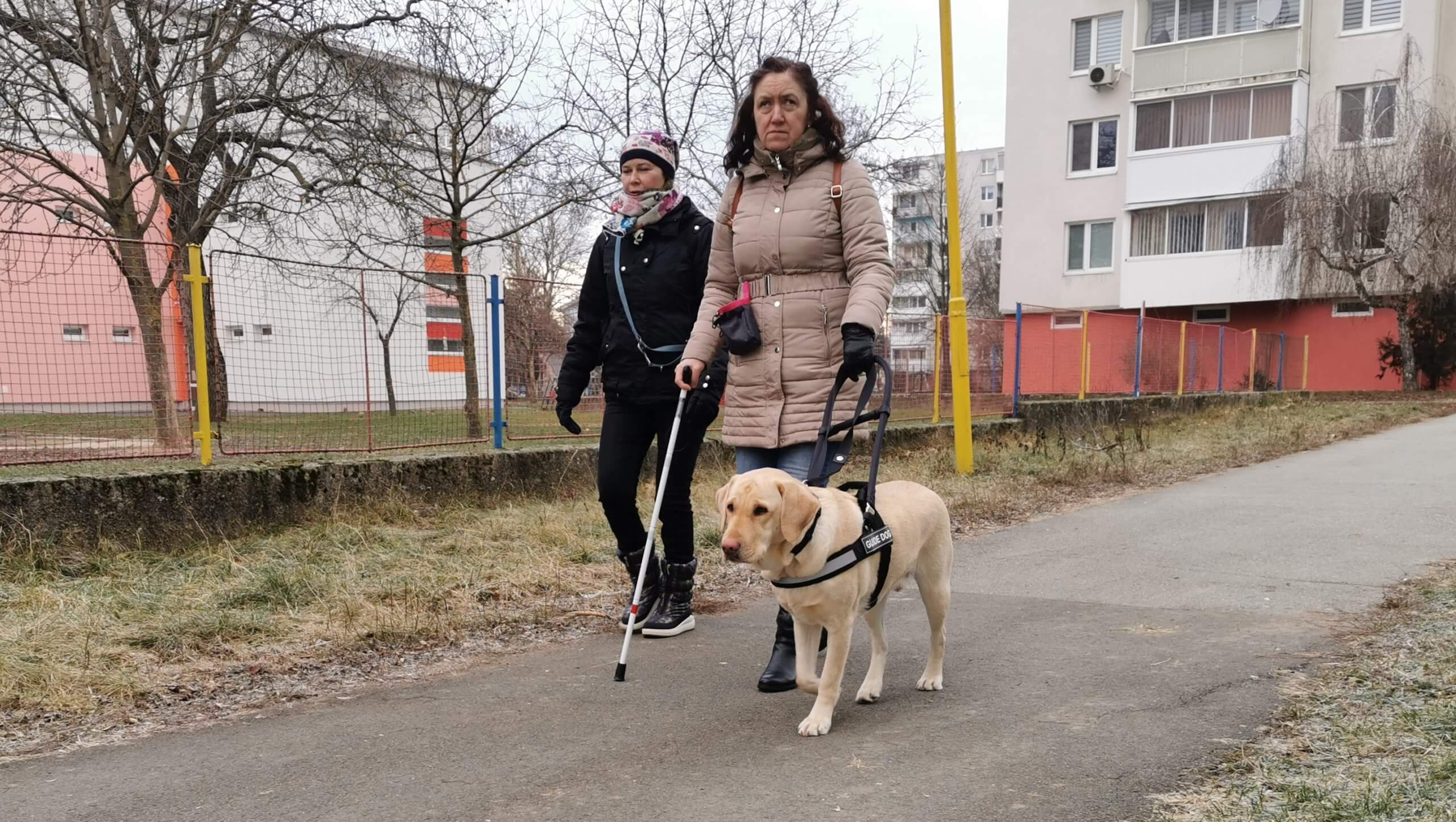 Vodiaci pes vedie po chodníku svoju budúcu majiteľku. Cvičiteľka kráča krok za nimi a dohliada na ich spoluprácu.