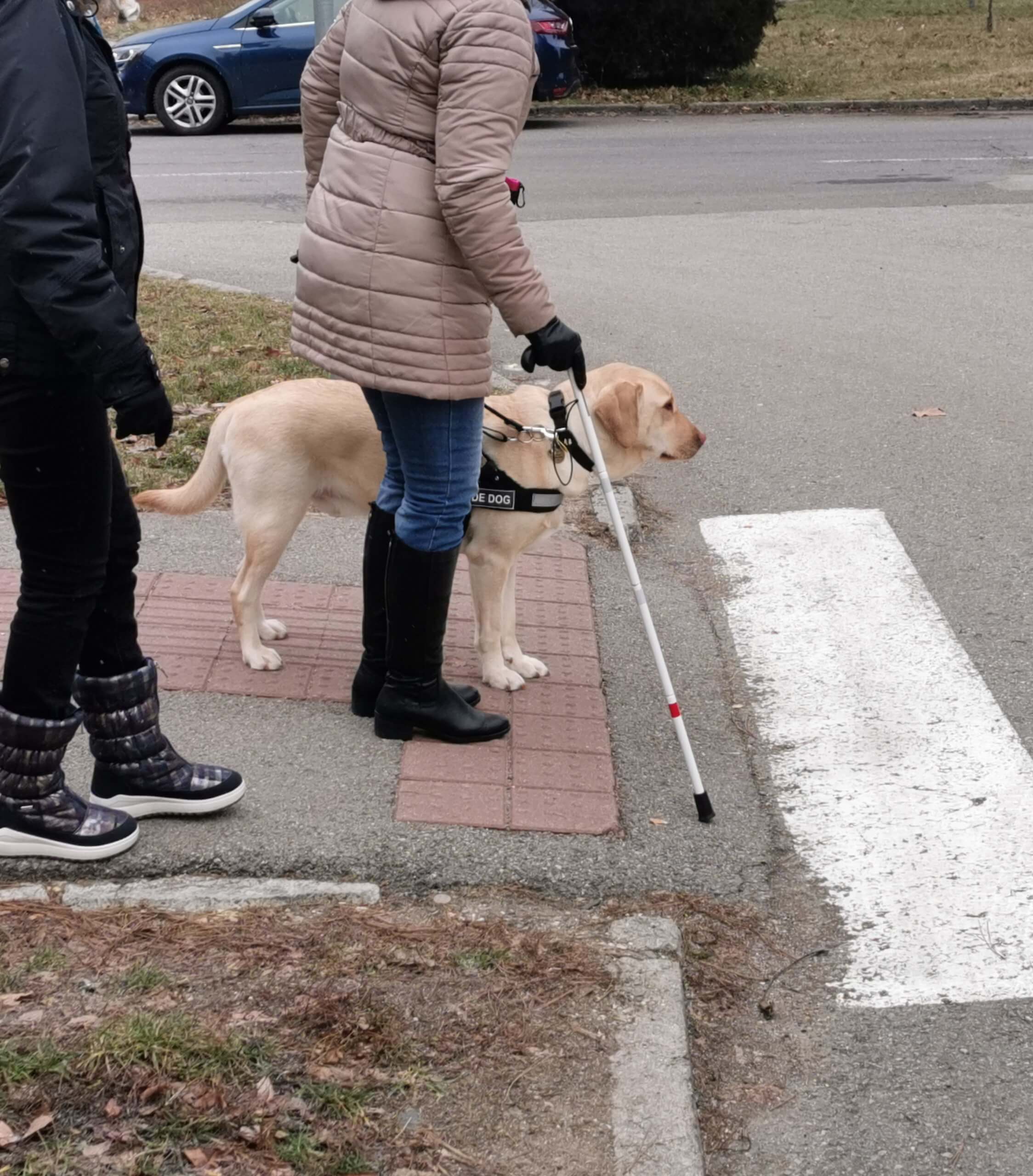 Klientka s vodiacim psom stoja na okraji chodníka pri zebre.