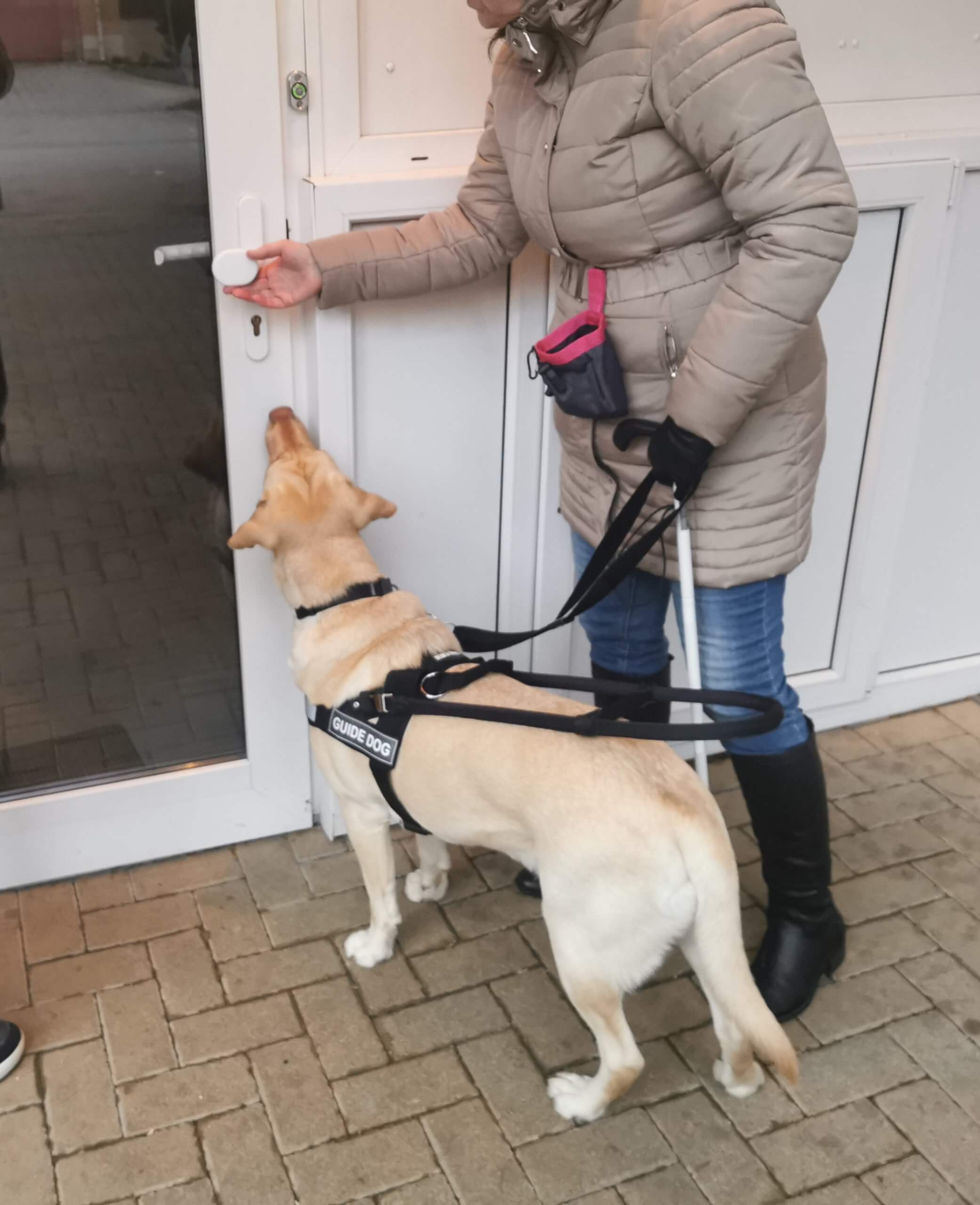 Vodiaci pes ukazuje klientke dver.