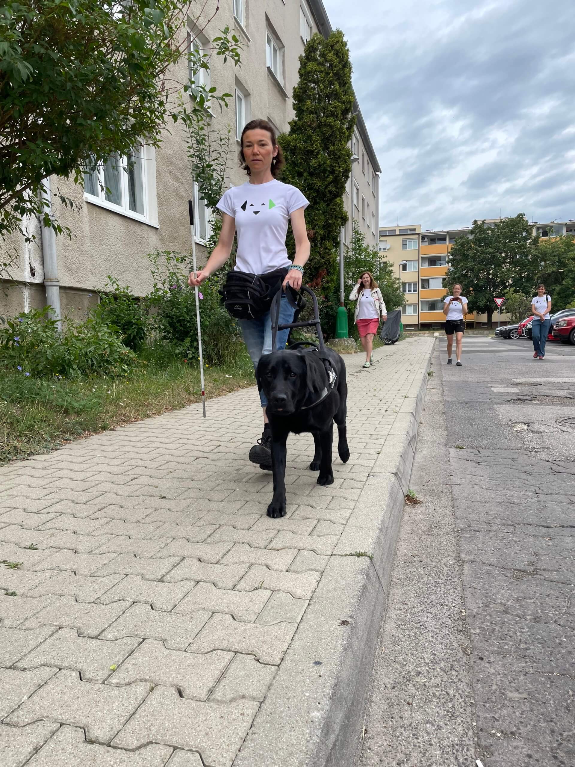 Cvičiteľka s vodiacim psom kráča po chodníku. Jej prácu z diaľky sledujú školiteľky