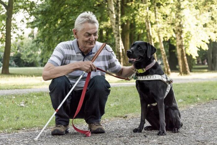 Vedeli sme, že ho dlhšie obdobie trápi zdravie, avšak správa o jeho odchode nás nesmierne zaskočila. Imrich Bartalos, zakladateľ výcviku vodiacich psov na Slovensku, odišiel 12. januára vo veku 73 rokov.