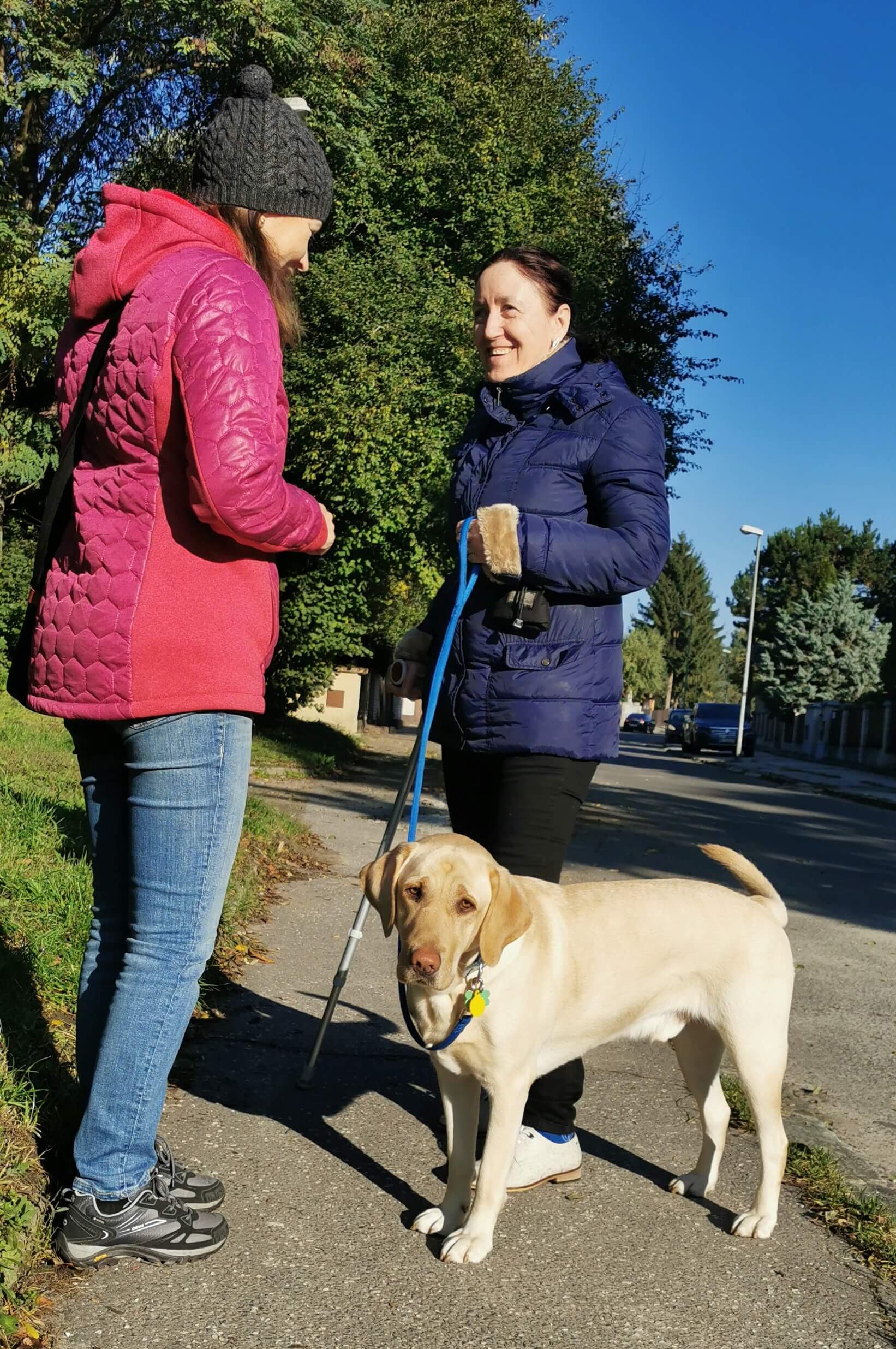 Na slnkom zaliatej ulici v parku drží záujemkyňa o vodiaceho psa na vodítku žltého labradora , ktorý vrtí radostne chvostom. Záujemkyňa sa rozpráva s cvičiteľkou a obe sa usmievajú.