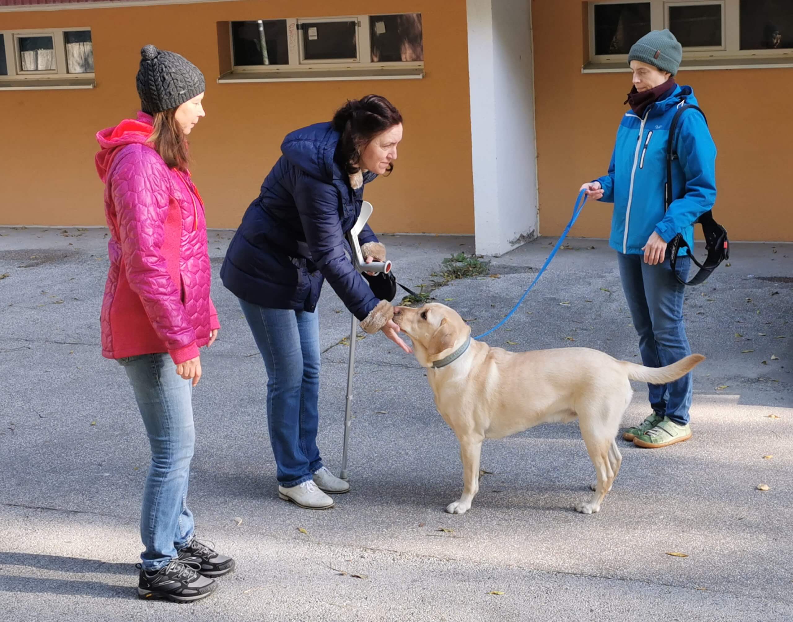 Na chodníku sa skláňa nevidiaca záujemkyňa o vodiaceho psa k žltému labradorovi, ktorý ju zvedavo oňucháva. Labradora drží na vodítku jeho trénerka, ktorá má cez plece postroj vodiaceho psa. 