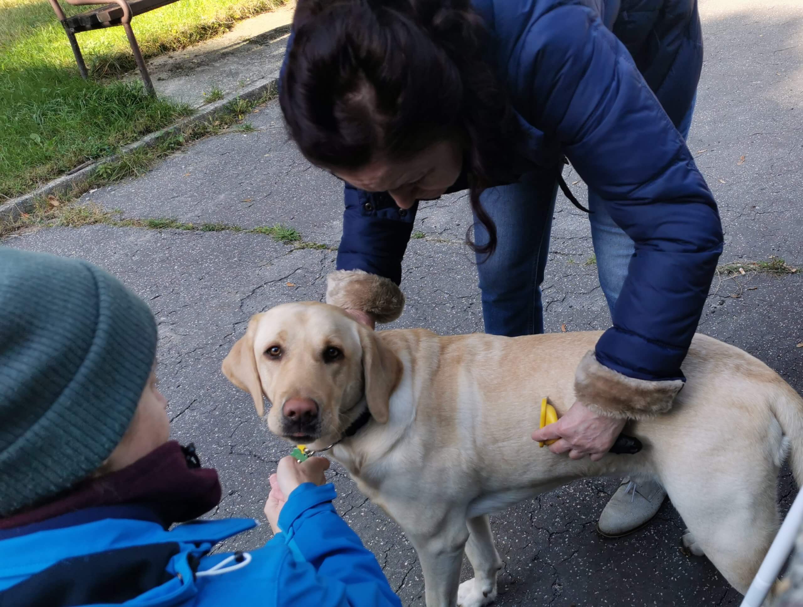 Nevidiaca záujemkyňa o vodiaceho psa sa skláňa k žltému labradorovi a češe ho, vedľa nej čupí cvičiteľka a inštruuje ju ako to správne robiť. 