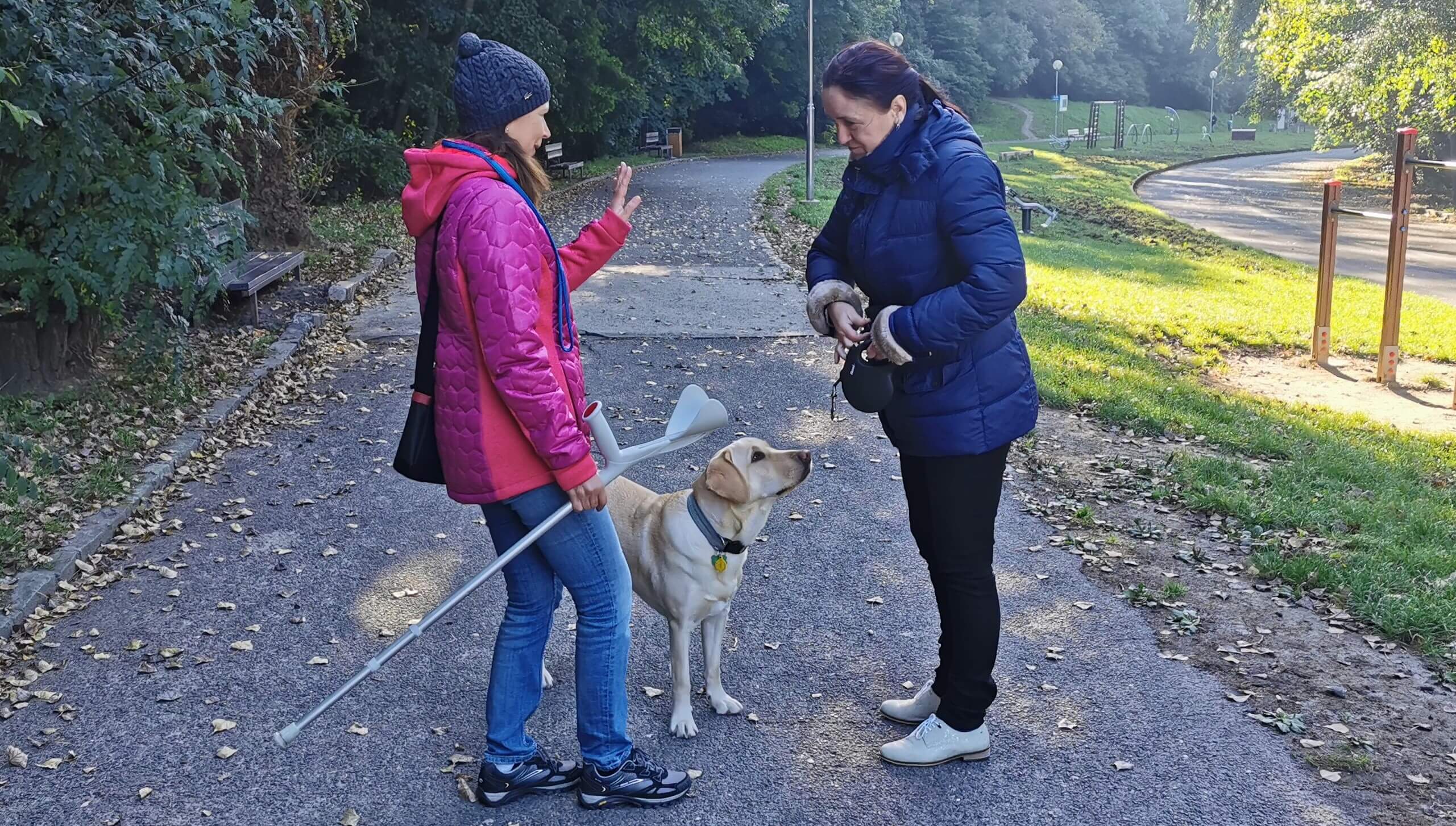 Na chodníku v parku stojí záujemkyňa o vodiaceho psa s cvičiteľkou a rozprávajú sa. Pri nich stojí vodiaci pes - žltý labrador bez vôdzky a postroja  a spýtavo sa pozerá na klientku.