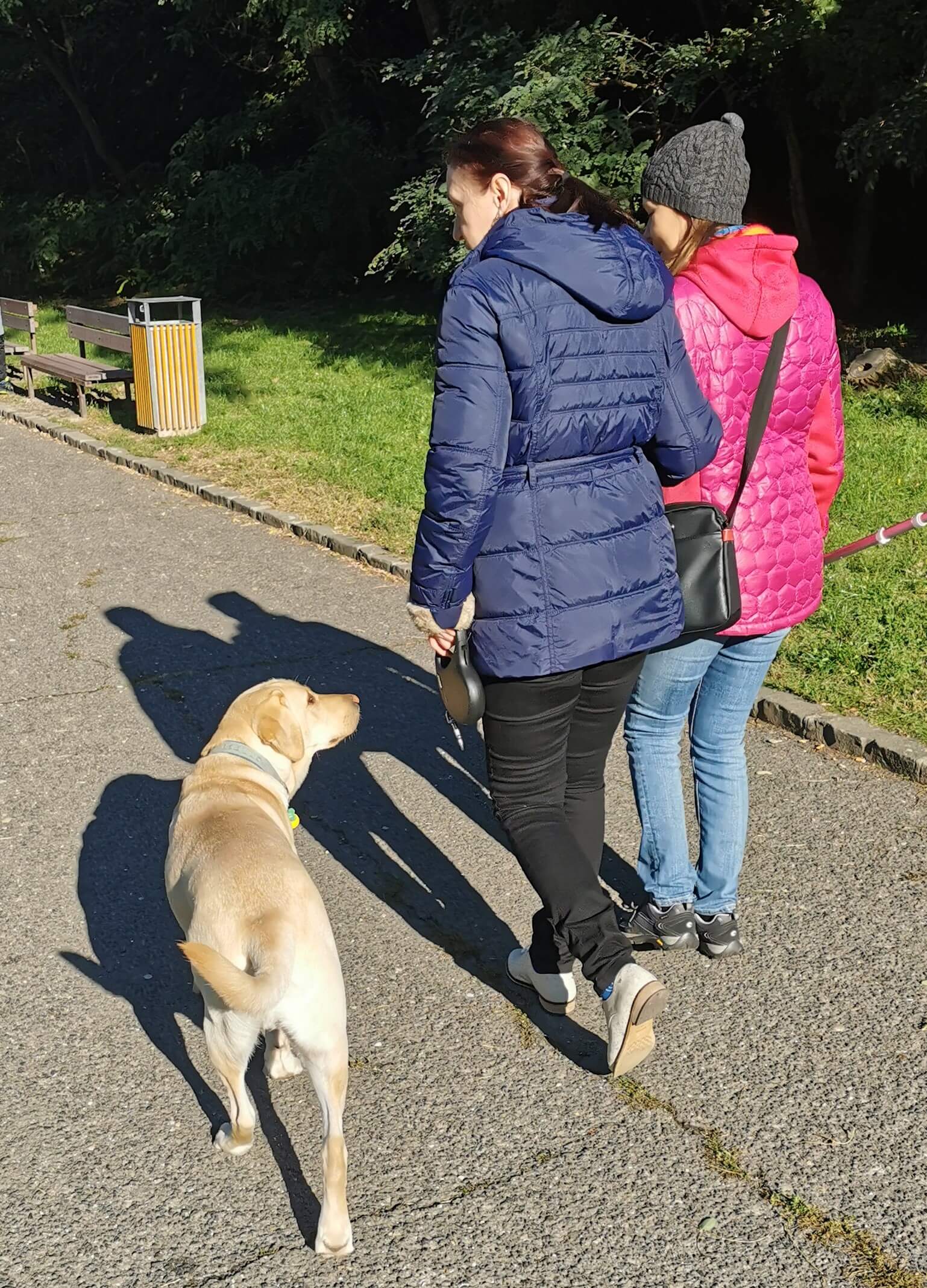 Po chodníku kráča cvičiteľka a vedie budúcu majiteľku vodiaceho psa. Vedľa nich kráča žltý labrador a pozerá na svoju budúcu paničku. 